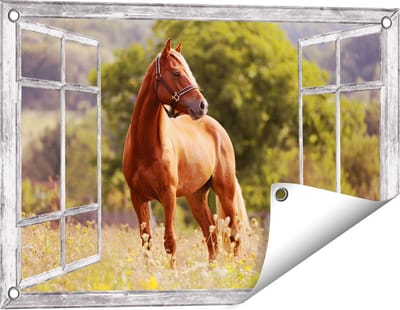 Gards Tuinposter Doorkijk Bruin Paard in de Wei - 60x40 cm - Tuindoek - Tuindecoratie - Wanddecoratie buiten - Tuinschilderij