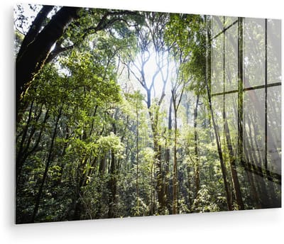 ® Glasschilderij 180x120 cm - Schilderij acrylglas - De zon schijnt door een opening in het Regenwoud in Thailand - Foto op glas - Muurdecoratie woonkamer - Wanddecoratie slaapkamer - Schilderijen