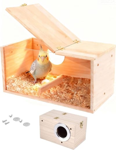 Transparante Groeibox van Hout voor Vogels, Voederhuisje voor Papegaaien en Parkieten, Broednest voor Vogels (12 x 12 x 19,5 cm)