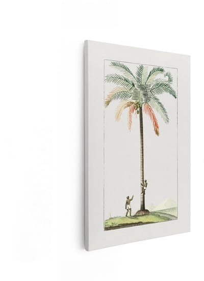 Artaza Canvas Schilderij Palmboom - 40x60 cm - Wanddecoratie Vintage Botanisch - Muurdecoratie Tropisch - Decoratie Kokosnoot Boom