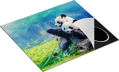 Chefcare Inductie Beschermer Twee Panda's Eten Bamboe Riet - 60x50 cm - Afdekplaat Inductie - Kookplaat Beschermer - Inductie Mat