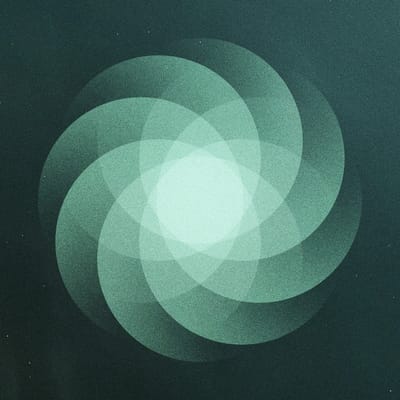 SOM - The Shape Of Everything (CD)