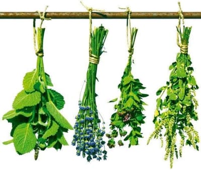 Fotobehang - Herbs 150x250cm - Vliesbehang