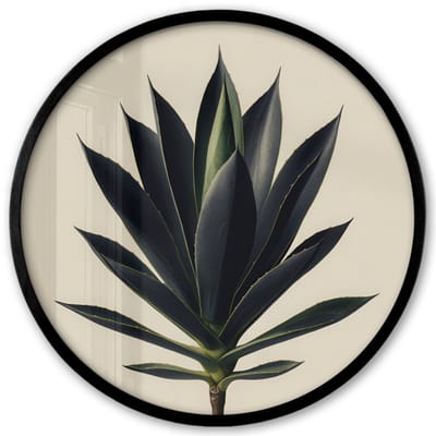 Poster in lijst Rond - Fotolijst 40x40 cm - Posters - Agaveplant - Symmetrisch - Groen - Ronde posterlijst zwart - Decoratie - Wanddecoratie woonkamer - Muurdecoratie slaapkamer