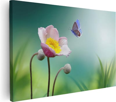 Artaza Canvas Schilderij Vlinder Op Bloem - 30x20 cm - Klein - Wanddecoratie Bloemen - Schilderijen Op Canvas Voorjaar