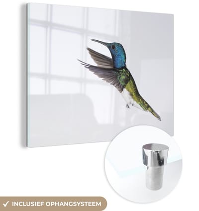 ® Glasschilderij 160x120 cm - Schilderij acrylglas - Vogel - Kolibrie - Blauw - Groen - Foto op glas - Muurdecoratie woonkamer - Wanddecoratie slaapkamer - Schilderijen