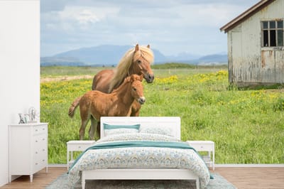 Behang - Fotobehang Paarden - Veulen - Berg - Breedte 600 cm x hoogte 400 cm