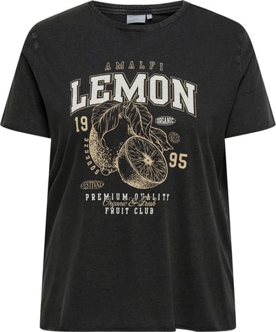 ONLY CARMAKOMA - CARLUCY REG S/S TOP JRS NOOS Dames Blouse