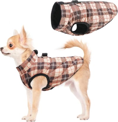 Hondenwinterjas waterdicht winddicht fleece ingebouwd harnas voor kleine honden