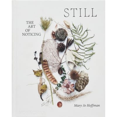 Still - Mary Jo Hoffman