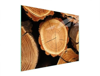 TMK ArtDeko Serie - Glazen Snijplank - 52x40 cm - Hittebestendig - Antislip