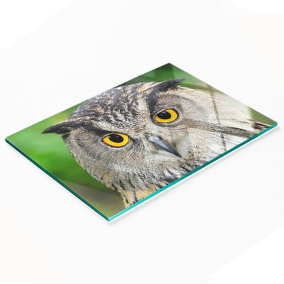 Duurzame en stijlvolle snijplank van gehard glas met uilenpatroon, 80x52 cm
