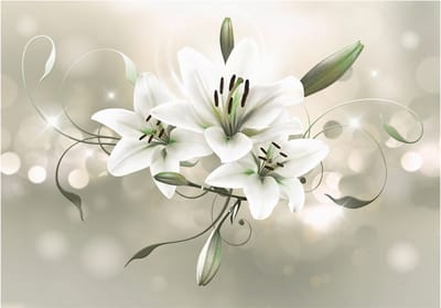 Fotobehangkoning - Behang - Vliesbehang - Fotobehang Sprankelende Lelie - Lily - Flower of Masters - 150 x 105 cm