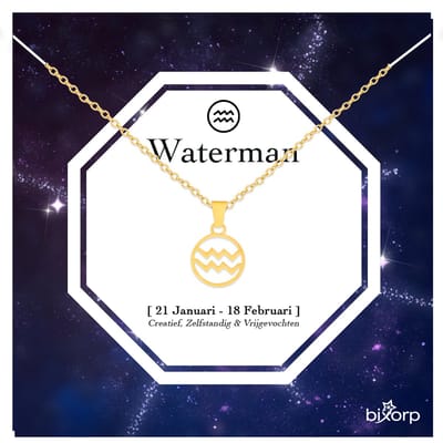 Bixorp Stars Sterrenbeeld Ketting Waterman / Aquarius - Stainless Steel Rondje met Goud Verguld - 45cm Ketting met Zodiac Hanger - Inclusief Cadeau Verpakking