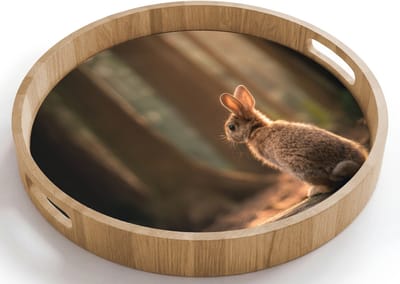 Dienblad rond 40x40 cm - Schootdienblad hout - Konijn - Bos - Zonnestralen - Borrelplank rechthoek - Plateau houten dienbladen