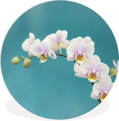 WallCircle - Wandcirkel 30x30 - Orchidee - Bloemen - Plant - Wit - Paars - Ronde schilderijen woonkamer - Wandbord rond - Muurdecoratie cirkel - Kamer decoratie binnen - Wanddecoratie muurcirkel - Woonaccessoires
