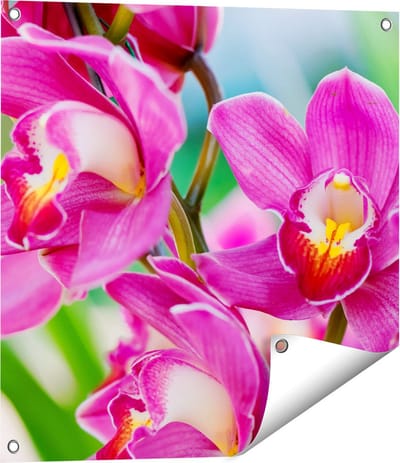 Gards Tuinposter Licht Paarse Orchidee Bloemen - 60x60 cm - Tuindoek - Tuindecoratie - Wanddecoratie buiten - Tuinschilderij