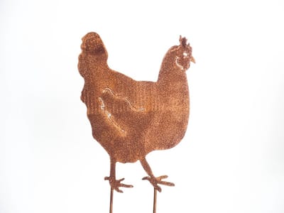 Tuinsteker ecoroest HEN/ KIP