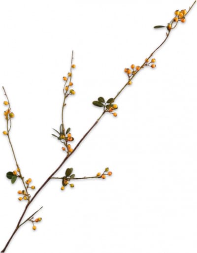 Silk-ka Kunstbloem-Kunst Tak Bessentak Geel-Groen 124 cm