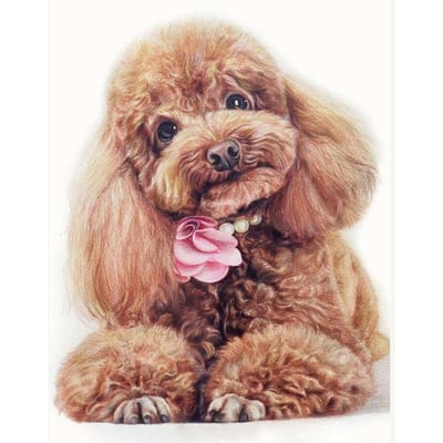 Handwerk Teddy hond 5D Diy Diamond Schilderen Kruissteek Dier Diamant borduurwerk Mozaïek Kristal Europese Home Decor 20X30CM beige