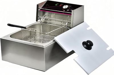 Friteuse - Roestvrij Staal - 6 liter - Instelbare Thermostaat met Zeef - Voor Thuis en Professioneel Gebruik