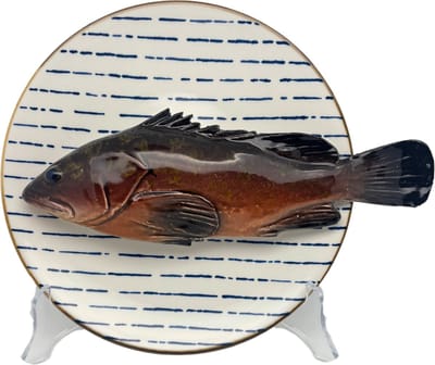 Cernia medio op wit met blauw gestreept bord, 22 cm rond