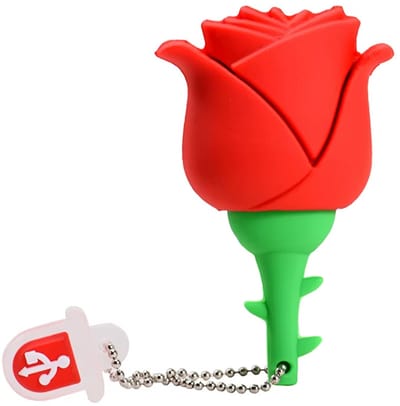 USB Stick 32GB Rode Roos – Cartoon USB Flash Drive – Memory Stick met Sleutelhanger – Pendrive voor Foto’s, Video’s & Bestanden – Creatief Cadeau voor Kinderen & Tieners