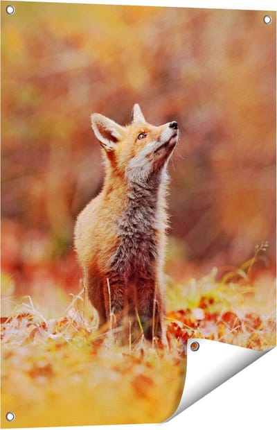 Gards Tuinposter Vos in het Bos tussen de Bladeren - 60x80 cm - Tuindoek - Tuindecoratie - Wanddecoratie buiten - Tuinschilderij
