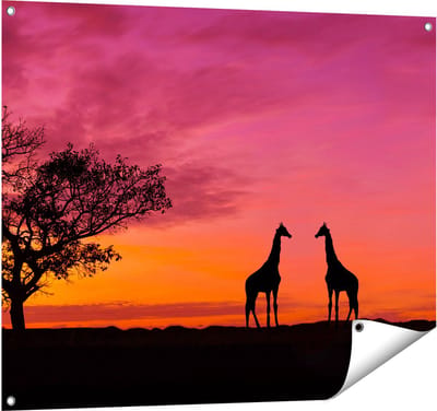 Gards Tuinposter Twee Giraffe Silhouetten bij Zonsondergang - 100x80 cm - Tuindoek - Tuindecoratie - Wanddecoratie buiten - Tuinschilderij