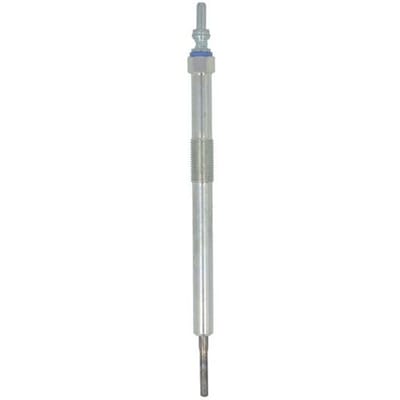 Gloeibougie BORG WARNER (BERU) GN1016
