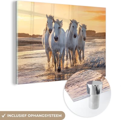 MuchoWow® Glasschilderij 60x40 cm - Schilderij acrylglas - Paarden - Water - Strand - Dieren - Foto op glas - Schilderijen