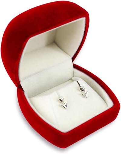 Elegante Sieraden Box voor Oorbellen, Perfecte Opbergoplossing voor Oorbellen, Sieraden Cadeau Box en Organizer voor Oorbellen