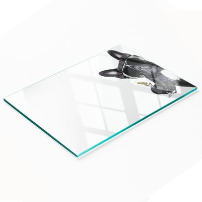 Multifunctionele decoratieve glazen snijplank voor de keuken, Martini Dog, 80x52 cm