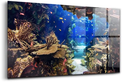 Wallfluent Glasschilderij - Aquarium met vissen Glas Schilderij - 100x50 cm - Veelkleurig Horizontale muurfoto - Dieren Foto Op Glas - Glas Foto - Foto In Glas