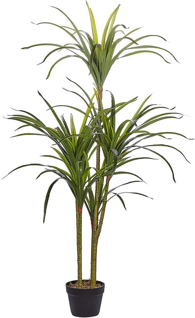 DRACAENA ANITA - Kunstplant - Groen - Synthetisch materiaal