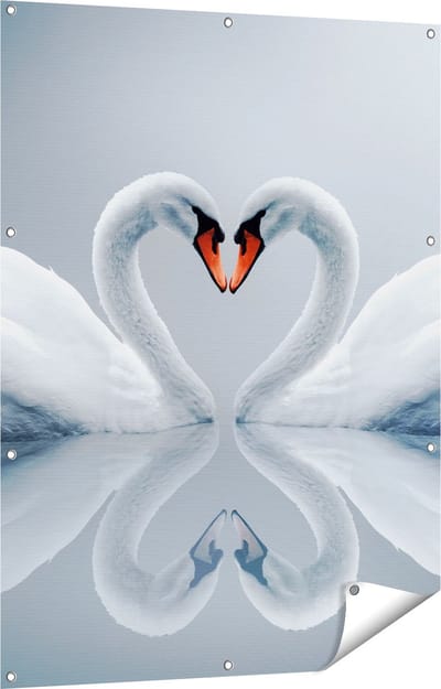 Gards Tuinposter Twee Zwanen in een Hart Vorm - 90x120 cm - Tuindoek - Tuindecoratie - Wanddecoratie buiten - Tuinschilderij