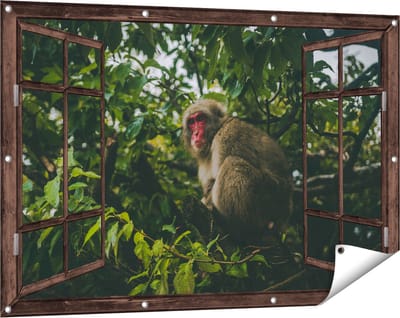 Gards Tuinposter Doorkijk Aap in de Boom tussen de Bladeren - 120x80 cm - Tuindoek - Tuindecoratie - Wanddecoratie buiten - Tuinschilderij