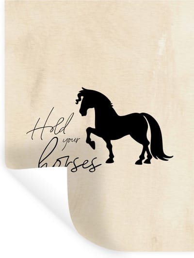 Muurstickers - Sticker Folie - Paarden - Quotes - Hold your horses - Spreuken - 30x40 cm - Plakfolie - Muurstickers Kinderkamer - Zelfklevend Behang - Zelfklevend behangpapier - Stickerfolie