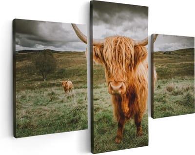 Artaza Canvas Schilderij Drieluik Schotse Hooglanders In De Wei - Kleur - 90x60 - Foto Op Canvas - Canvas Print