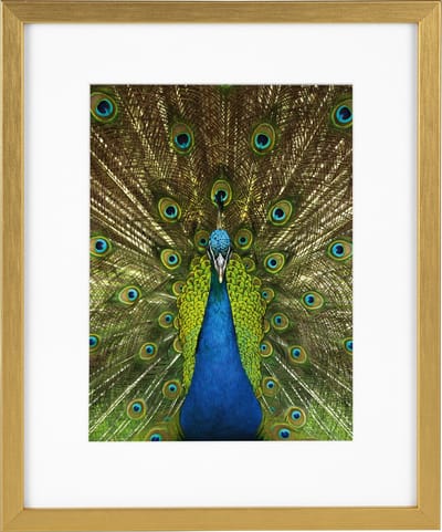 Goldbuch - Fotolijst Pino - Goud - 13x18 cm (20x25 cm)