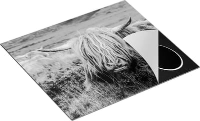 Chefcare Inductie Beschermer Harige Schotste Hooglander Koe in het Gras - Zwart Wit - 60x50 cm - Afdekplaat Inductie - Kookplaat Beschermer - Inductie Mat