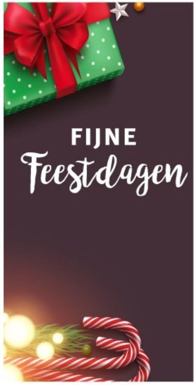 Cadeaukaartjes – "Fijne Feestdagen" - Feestdagen – 20 stuks – 100x40 mm – FSC-papier – Met Boorgaatje
