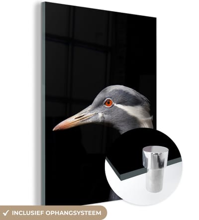 MuchoWow® Glasschilderij 120x160 cm - Schilderij acrylglas - Vogel - Dieren - Portret - Foto op glas - Schilderijen
