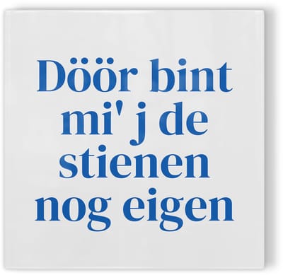 Tegeltje Zwolle Döör bint mi' j de stienen nog eigen - wit blauw - tegeltje stad - tegeltje met tekst