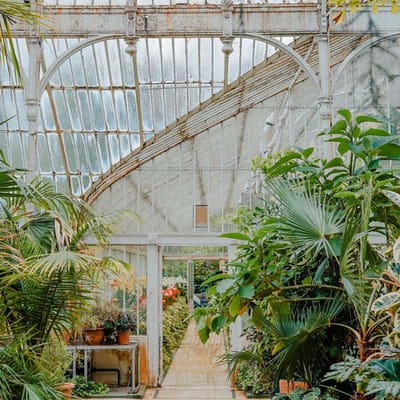 Geurolie - Greenhouse - 1 L