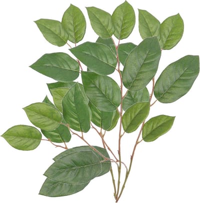 Bellatio flowers & plants Appelboom groene takken - 3x - 77 cm - bladgroen