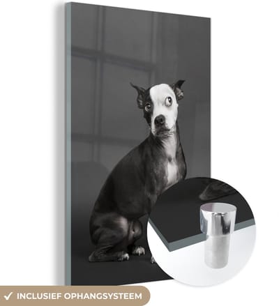 MuchoWow® Glasschilderij 120x180 cm - Schilderij acrylglas - Hond - Vlek - Portret - Foto op glas - Schilderijen