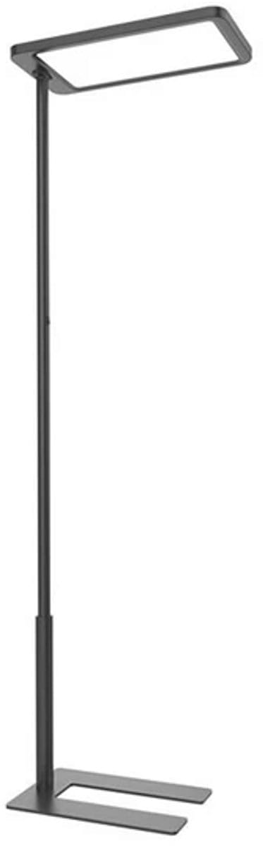 Ergofy Inluma 2 - Staande Bureaulamp - Zwart - 12.025 Lumen - Dimbaar