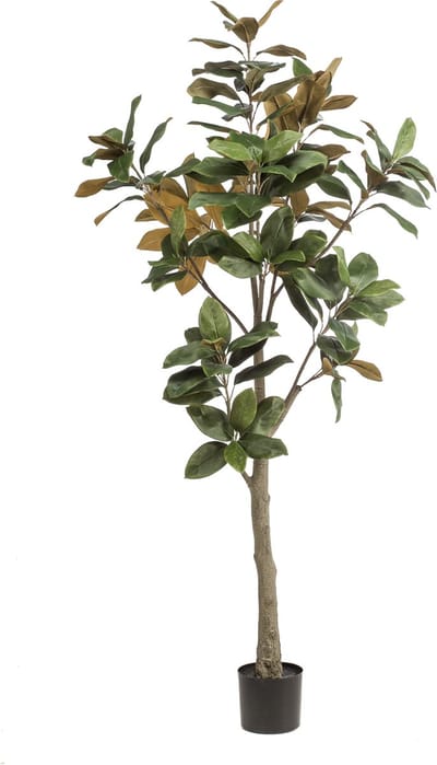 Emerald - Kunstboom Magnolia Denudata 180cm - Kunstplant voor binnen - Magnolia plant - Magnolia boom