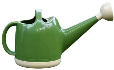 Kleine gieter - Waterkan planten - Planten water geven - Afneembare lange uitloop - 4L capaciteit - Groen